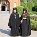 Превью: 