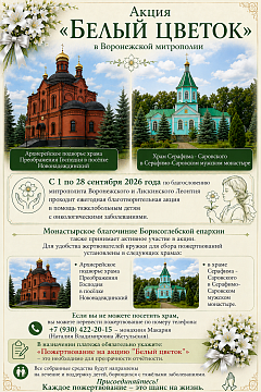 Акция «Белый цветок» в Воронежской митрополии
