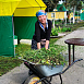 Превью: 